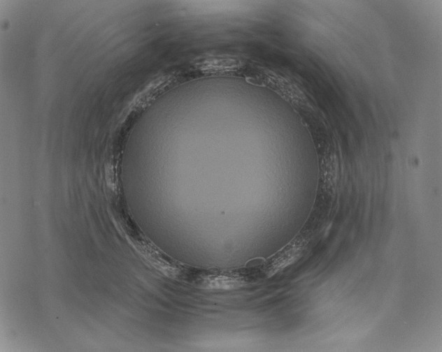 X0000071900755200607281803