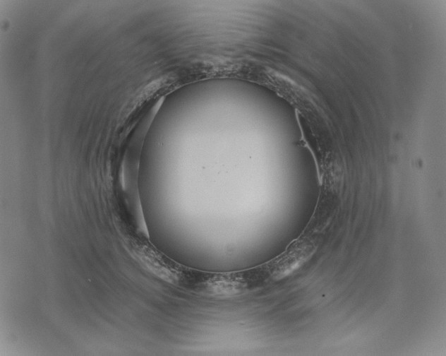 X0000071900756200607281803