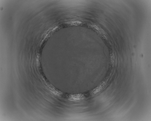 X0000071900757200607281803