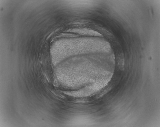 X0000071900758200607281803