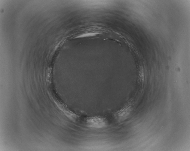 X0000071900759200607281803