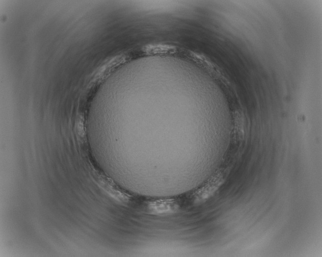 X0000071900761200607281803