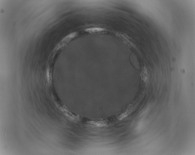 X0000071900763200607281803