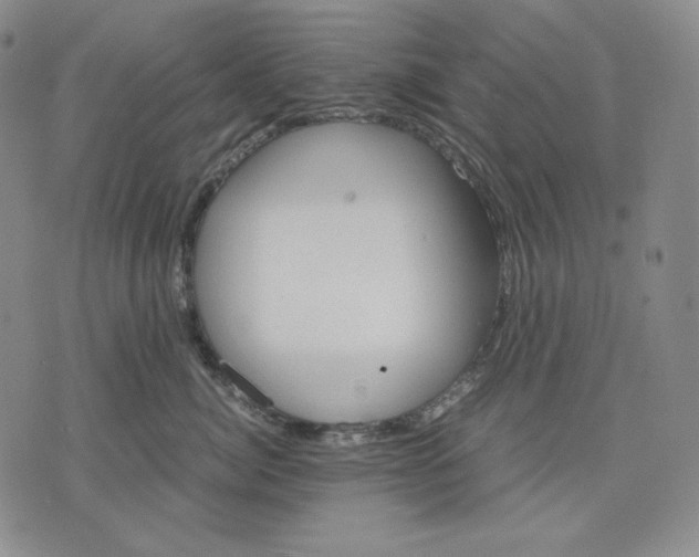 X0000071900764200607281803