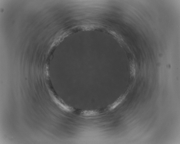 X0000071900766200607281803