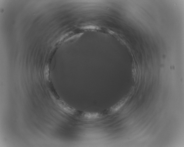 X0000071900767200607281803