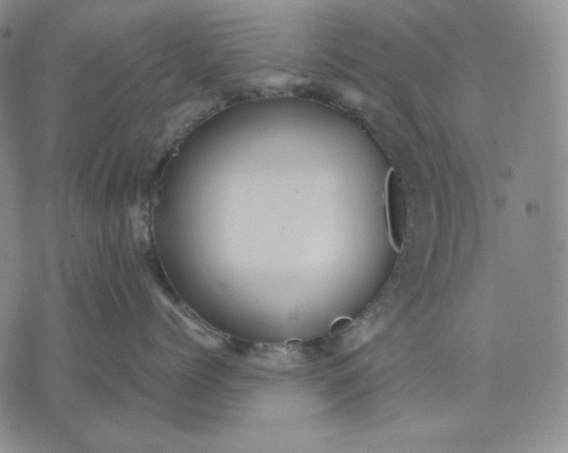 X0000071900768200607281803