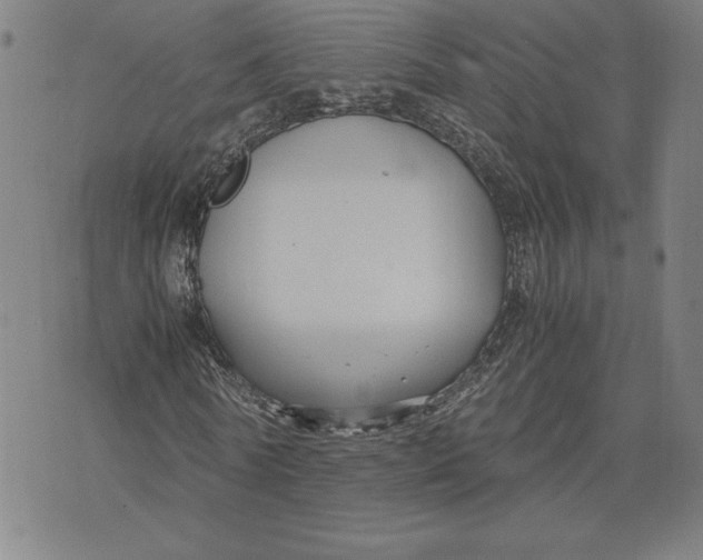 X0000071900770200607281802