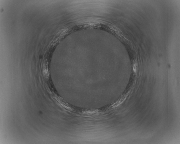 X0000071900771200607281802