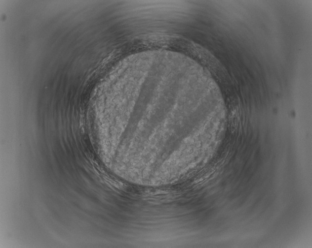 X0000071900772200607281802