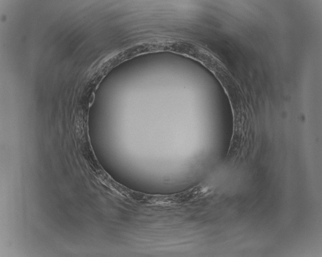 X0000071900773200607281802