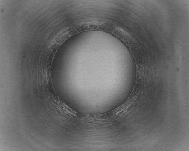 X0000071900774200607281802