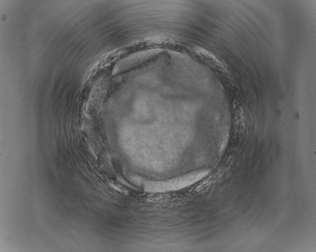 X0000071900776200607281802