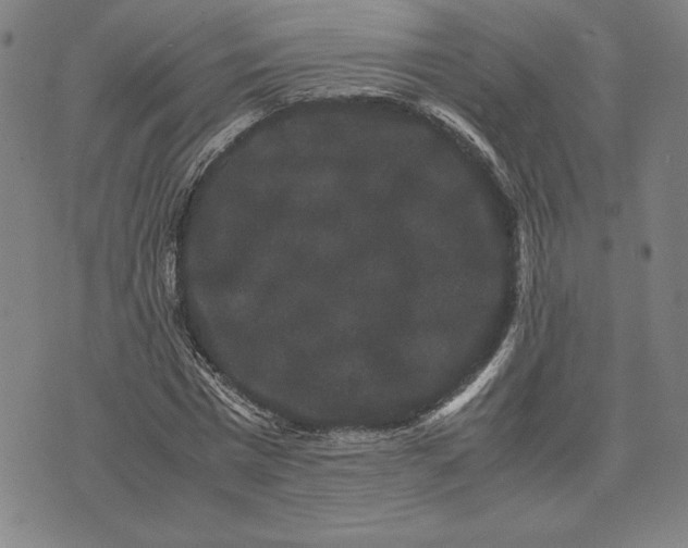 X0000071900777200607281802