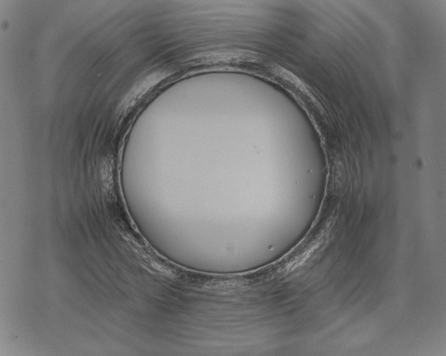 X0000071900778200607281802