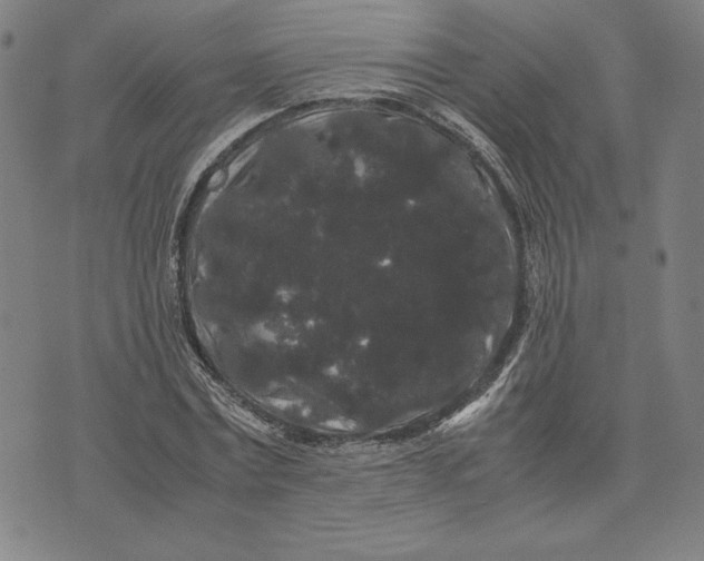 X0000071900779200607281802