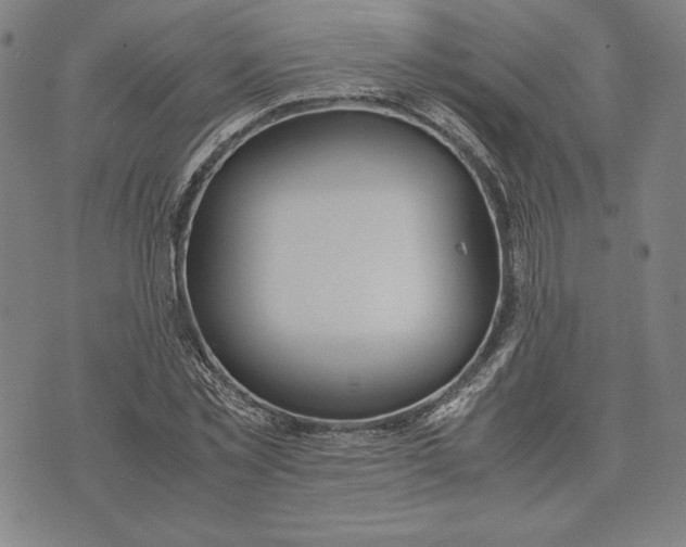 X0000071900781200607281802