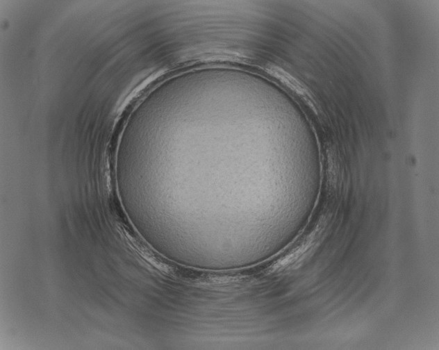 X0000071900782200607281802