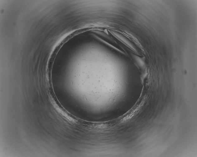 X0000071900784200607281802