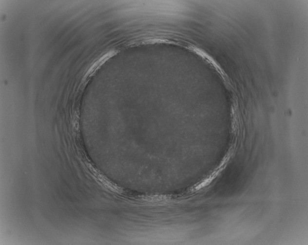 X0000071900785200607281802