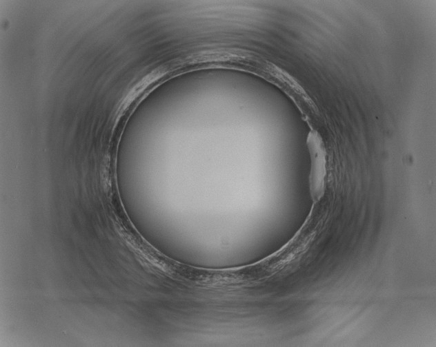 X0000071900786200607281802