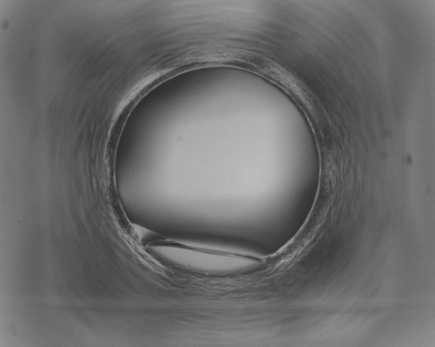 X0000071900787200607281802