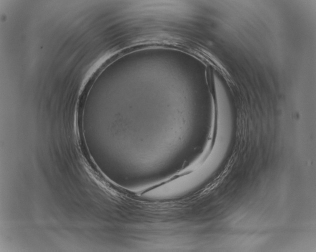 X0000071900788200607281802