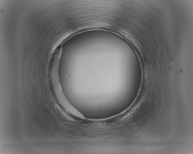 X0000071900789200607281802