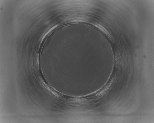 X0000071900790200607281802