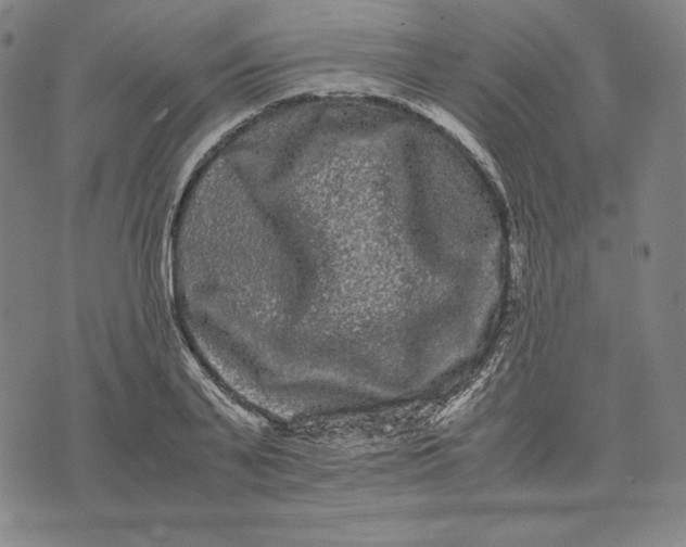 X0000071900791200607281802