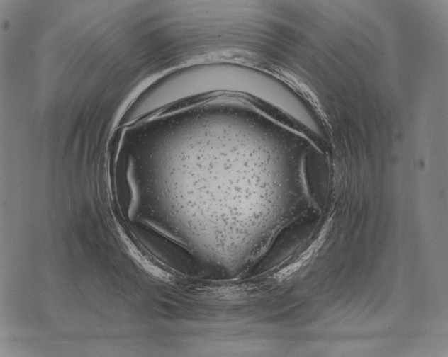 X0000071900792200607281802