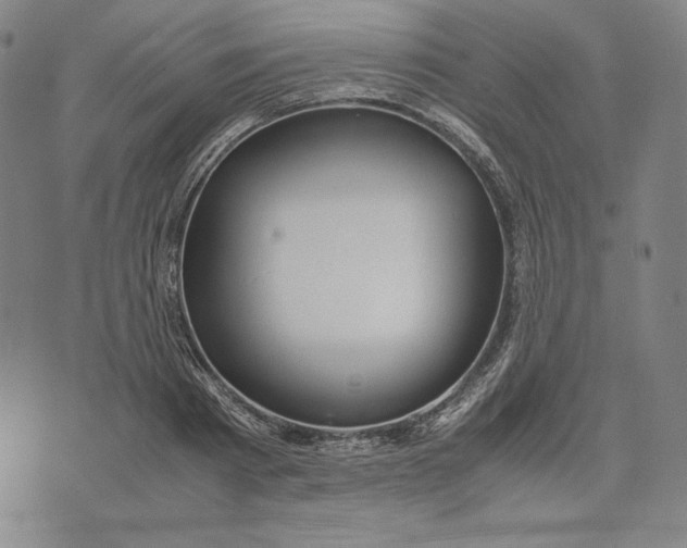 X0000071900793200607281802