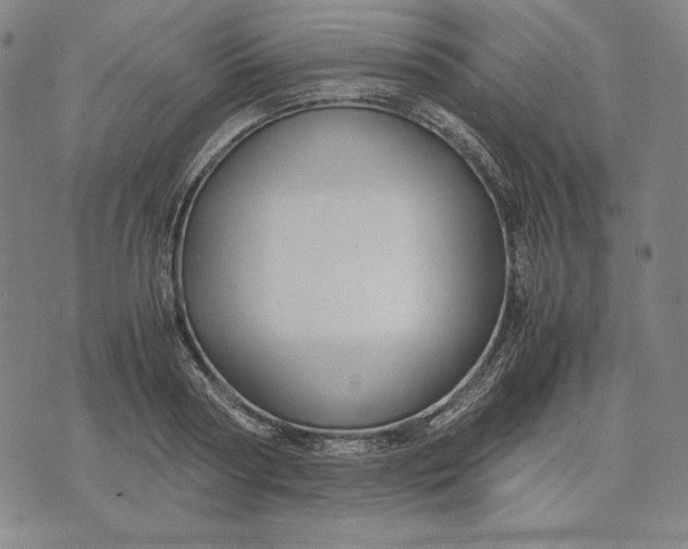 X0000071900794200607281802