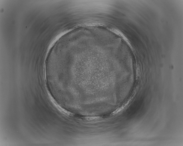 X0000071900795200607281802