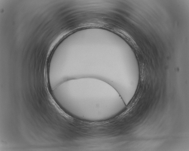 X0000071900796200607281802