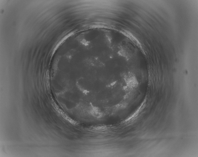 X0000071900798200607281802