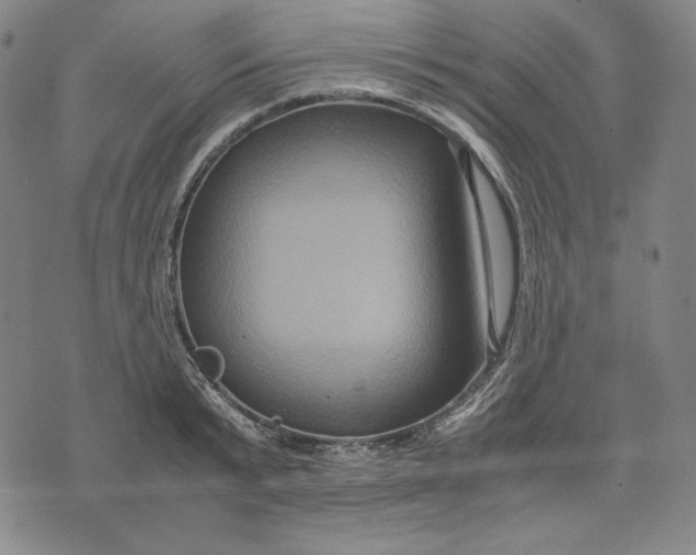 X0000071900799200607281802