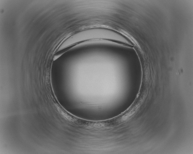 X0000071900801200607281802