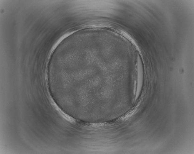 X0000071900803200607281802