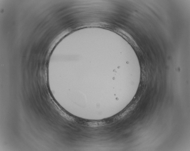 X0000071900804200607281802