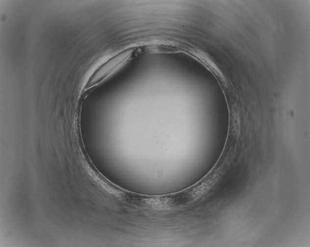 X0000071900805200607281802