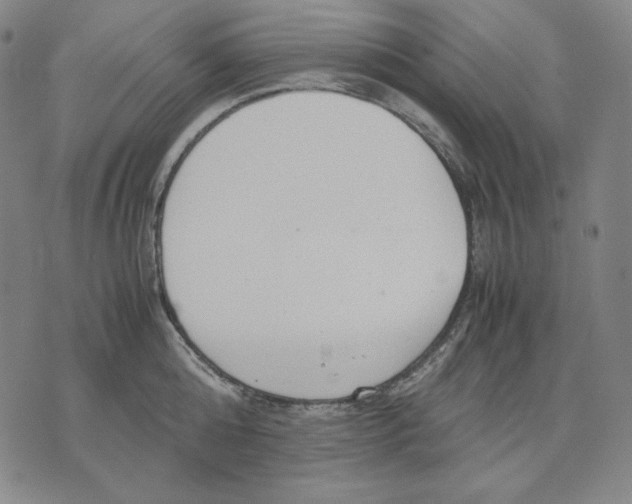 X0000071900808200607281802