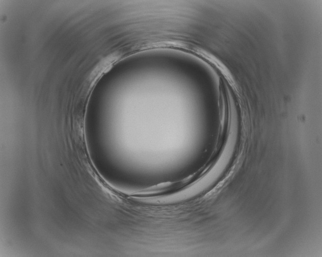 X0000071900809200607281802