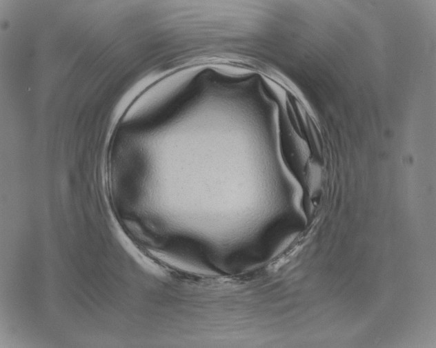 X0000071900811200607281802