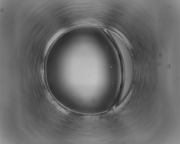 X0000071900812200607281802