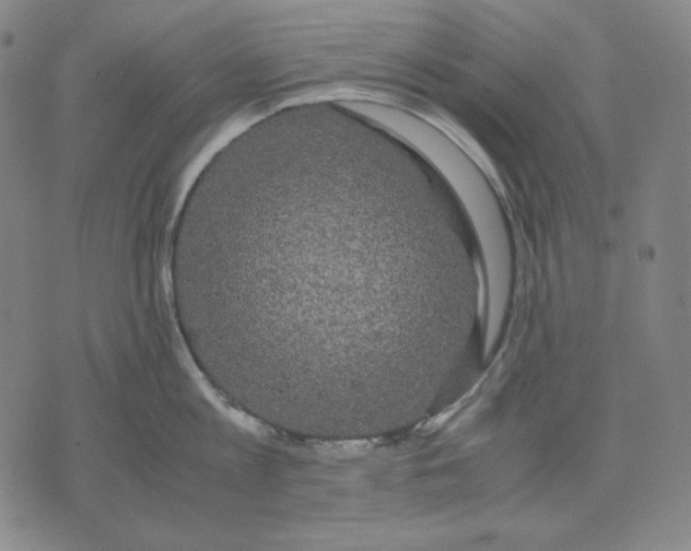 X0000071900813200607281802