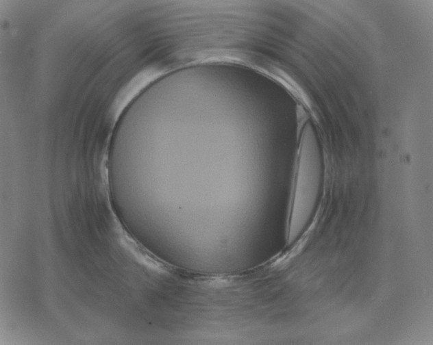 X0000071900814200607281802