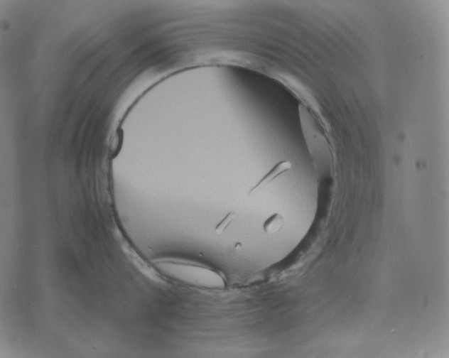 X0000071900816200607281802