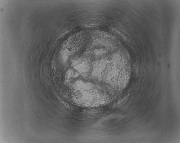 X0000071900817200607281801