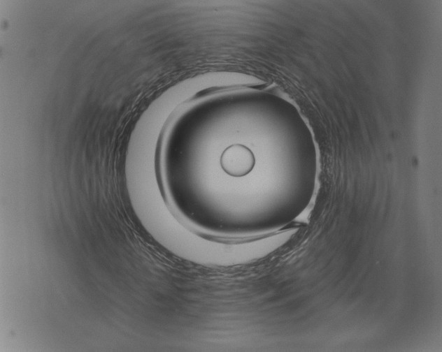 X0000071900818200607281801